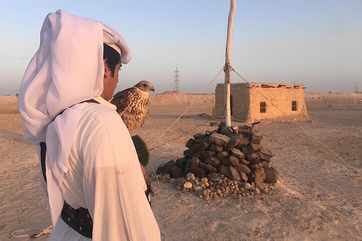 Private Full-Day Bahrain Desert Tour - Image 3