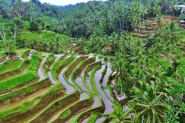 2-Day Experience Bali: Most Popular Tour - Image 2