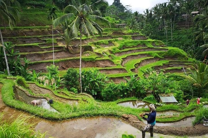 3 Days Bali Cheap Tour Package - Image 3