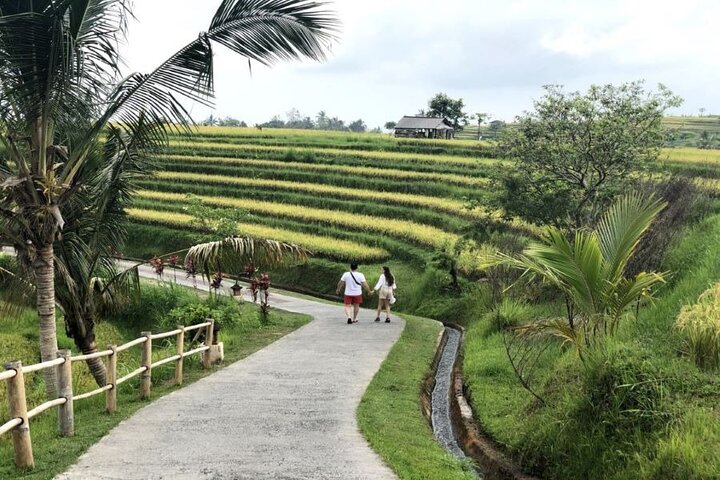 4-Hour Private Tour in Jatiluwih Terraces and Butterfly Park - Image 3