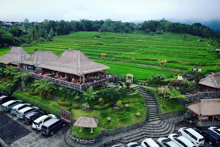 4-Hour Private Tour in Jatiluwih Terraces and Butterfly Park - Image 4