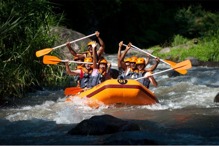 Adventure Rafting Journey With Us! And Ubud Tours  - Image 2