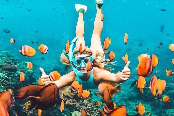 All Inclusive : Bali Blue Lagoon Snorkeling with Lunch and Transport - Image 3