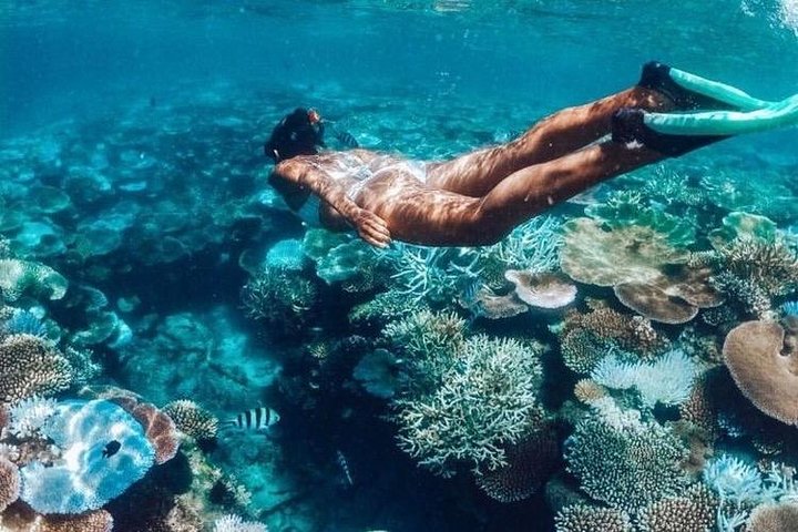 All Inclusive : Bali Blue Lagoon Snorkeling with Lunch and Transport - Image 4