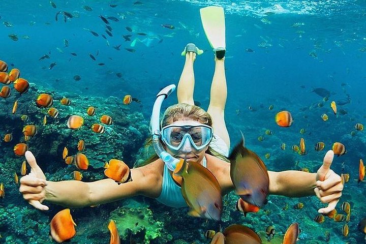 All Inclusive : Bali Blue Lagoon Snorkeling with Lunch and Transport - Image 1