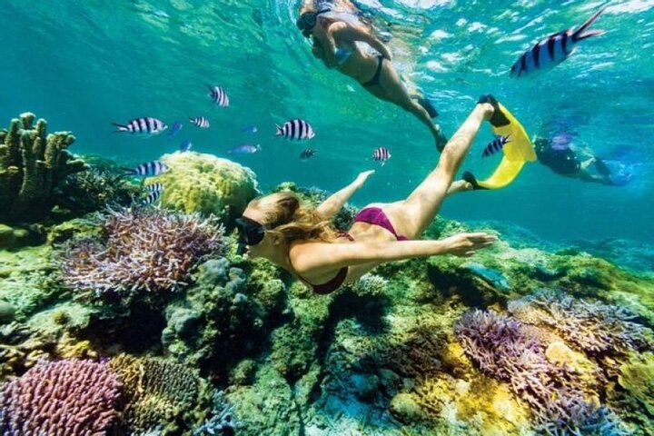 All inclusive : Blue Lagoon Snorkeling and Lempuyang Temple ( Gate of Heaven ) - Image 1
