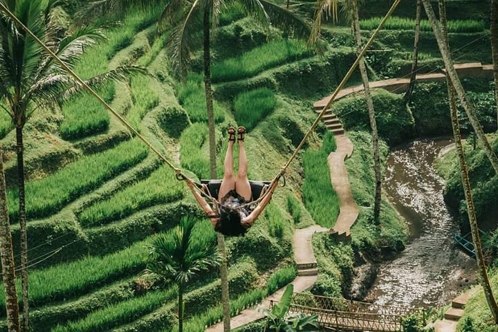 All inclusive Private 2 Day Tours Bali Highlights - Image 1