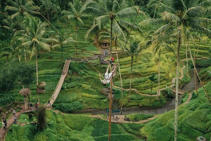 All inclusive Private 3 day tours package : Bali highlights - Image 3