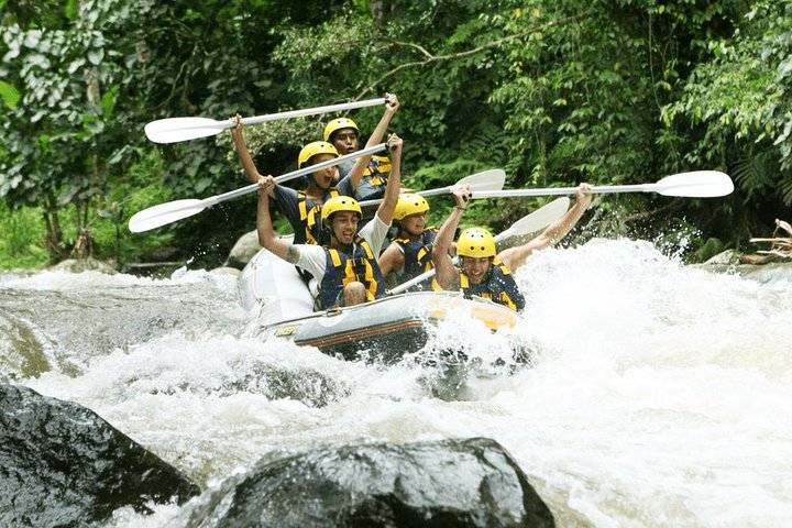 Amazing Private Tour 5 Star And Kintamani Vulcano Tour - Image 2
