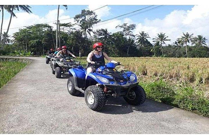 ATV Quad Bike-Ubud Monkey Forest-Rice Terrace & Ubud Waterfall - Image 4