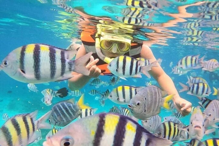 ATV Quad Ride and Blue Lagoon Snorkeling - Image 2