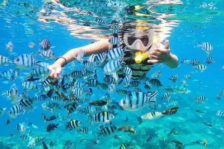 ATV Quad Ride and Blue Lagoon Snorkeling - Image 3
