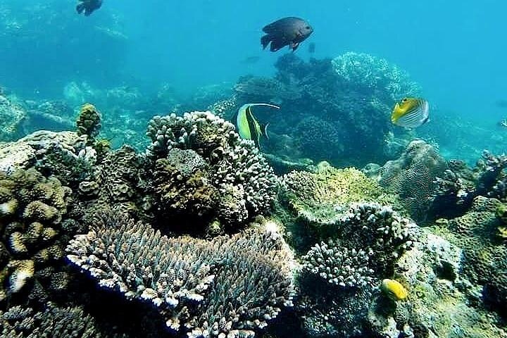ATV Quad Ride and Blue Lagoon Snorkeling - Image 1