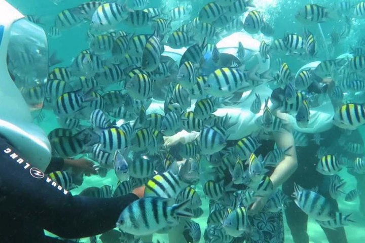Bali Best Watersport Sea walker,Parasailing adventure,Jet sky - Image 4