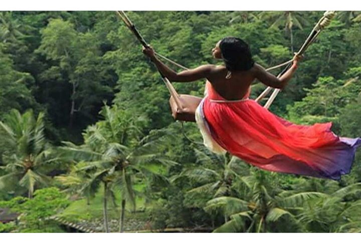 Bali Bird Park-Jungle Swing-Monkey Forest-RiceTerrace-WaterTemple - Image 2