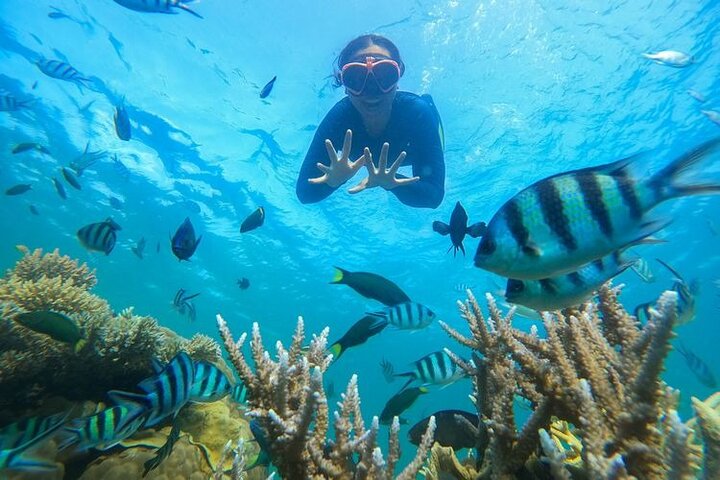 Bali Blue Lagoon Snorkeling - Ubud Jungle Swing ( All Inclusive ) - Image 5