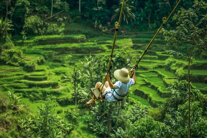 Bali Blue Lagoon Snorkeling - Ubud Jungle Swing ( All Inclusive ) - Image 4