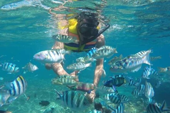 Bali Blue Lagoon Snorkeling - Ubud Jungle Swing ( All Inclusive ) - Image 2
