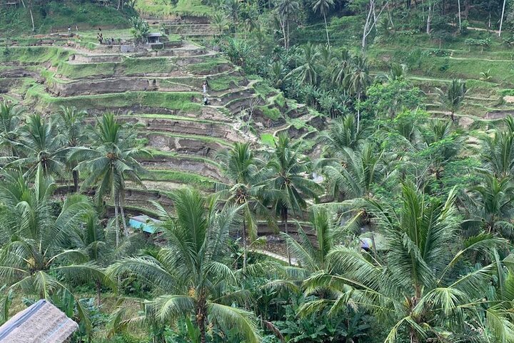 Bali Car Hire with Private Chauffeur - Image 3