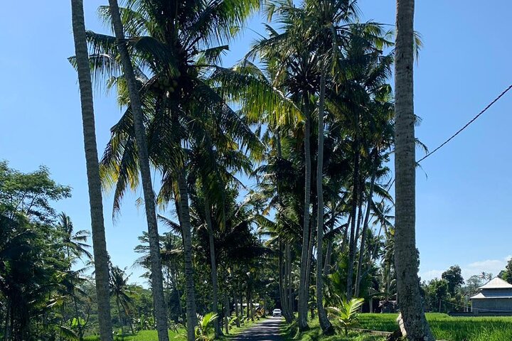 Bali Car Hire with Private Chauffeur - Image 5