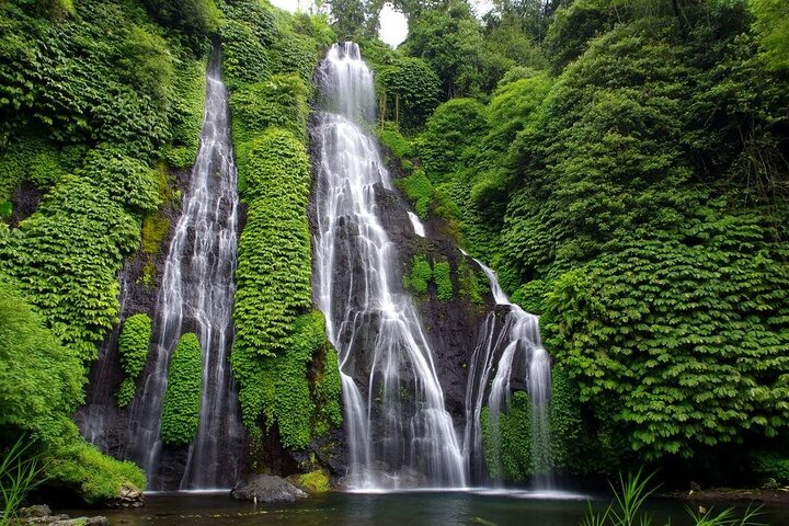 Bali Dolphin Watching Sunrise Tour (Private & All Inclusive) - Image 5