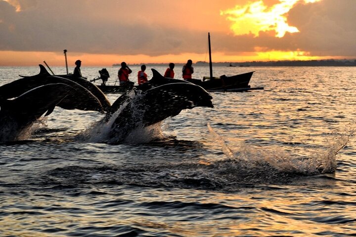 Bali Dolphin Watching Sunrise Tour (Private & All Inclusive) - Image 1