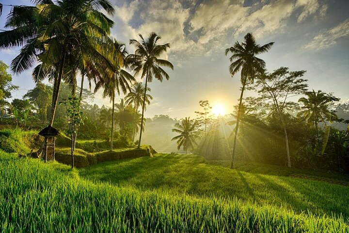 Bali: Full-Day Instagram Highlights Tour - Image 3
