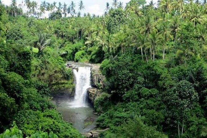 Bali Full Day Tour – Ubud and Tanah Lot Temple Tour - Image 2
