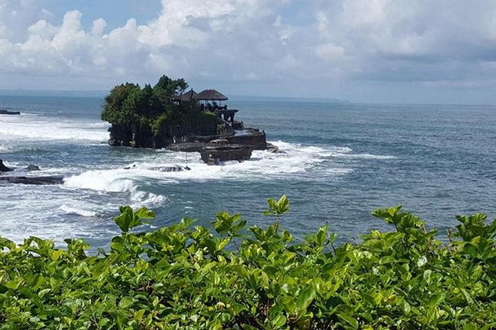 Bali Full Day Tour – Ubud and Tanah Lot Temple Tour - Image 3