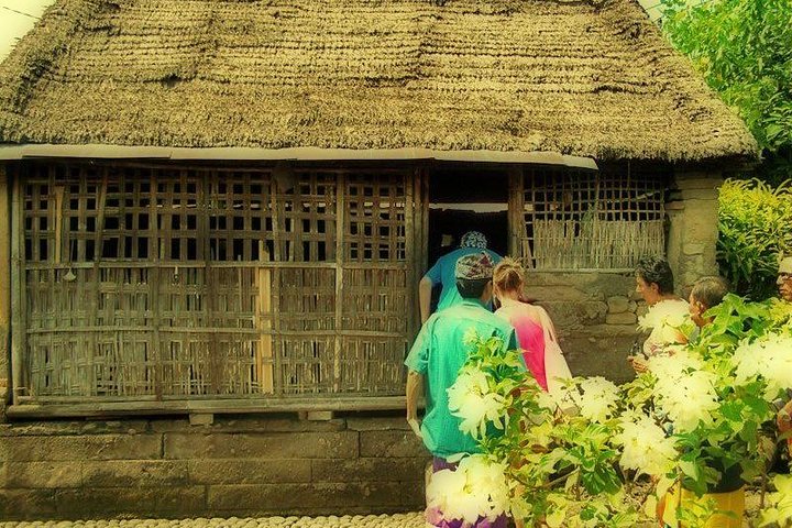 Bali Fullday Rice terrace, Volcano, Tanah lot Sunset - Image 4