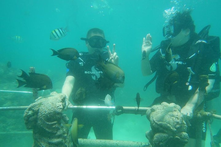 Bali Fun Scuba Dive for Beginners at Tanjung Benoa Beach - Image 1