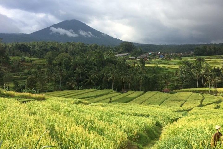 Bali Highlight Tours - Image 4