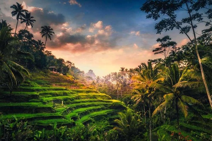 Bali Highlights : Nature, Waterfall, Rice Terraces and Volcano - Image 2