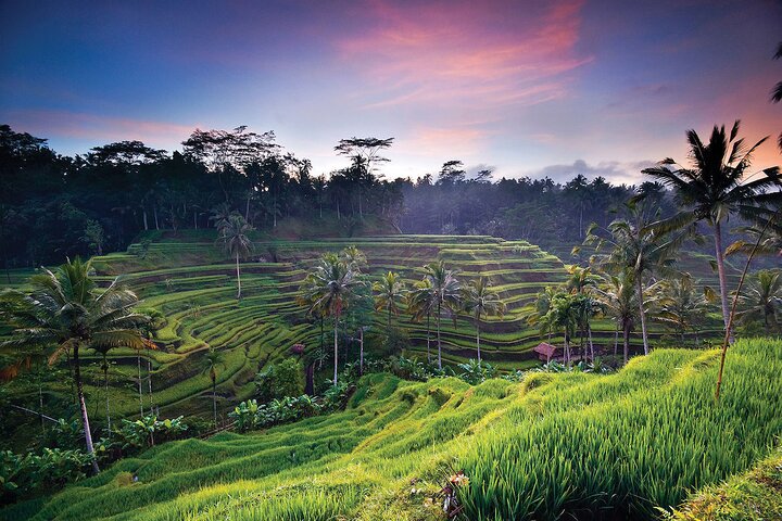 Bali Highlights : Nature, Waterfall, Rice Terraces and Volcano - Image 3