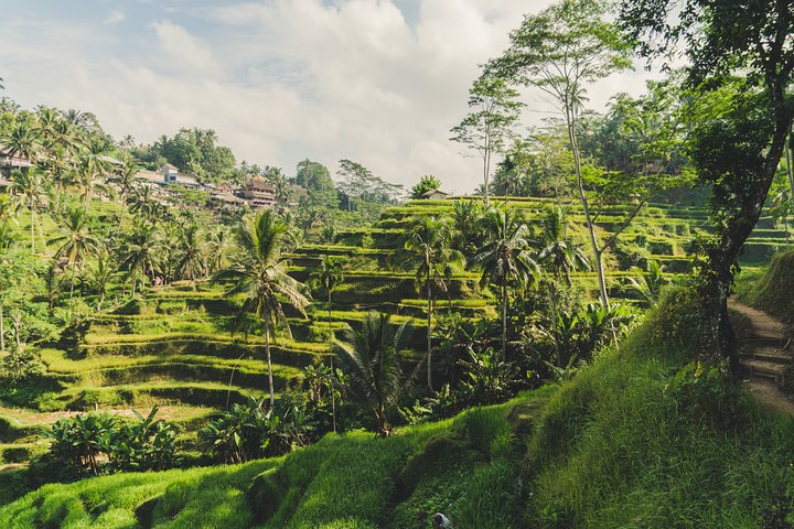 Bali Instagram Private Tour - Image 4