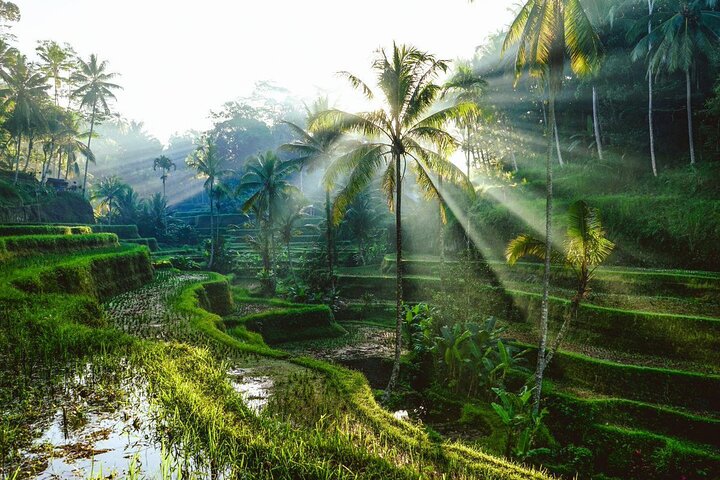 Bali Instagram Tour: The Most Beautiful Spots - Image 3