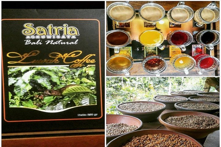 Bali Instagramable Tour - Image 4