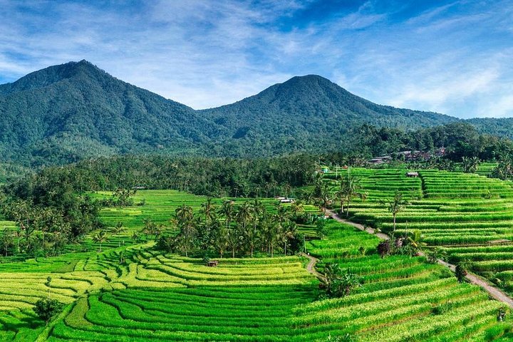 Bali Instagramable Tour : Handara Gate-Wanagiri Hidden Hills-Banyumala Waterfall - Image 4