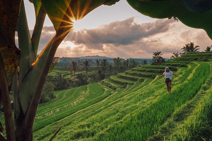Bali Instagramable Tour : Handara Gate-Wanagiri Hidden Hills-Banyumala Waterfall - Image 5