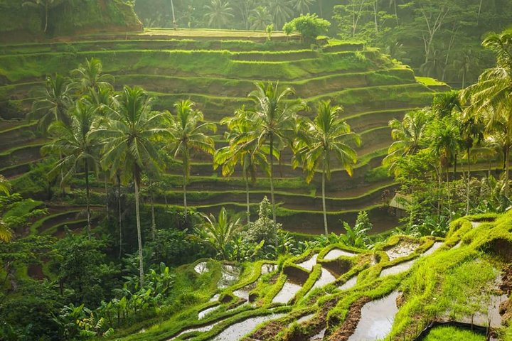 Bali Instagramable Tour : The Most Popular Instagram Spots Bali - Image 5