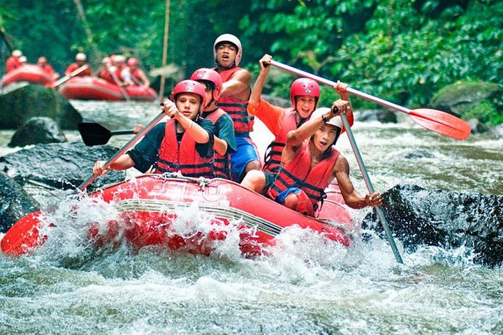 Bali Jungle Swing and White Water Rafting All Inclusive - Image 2