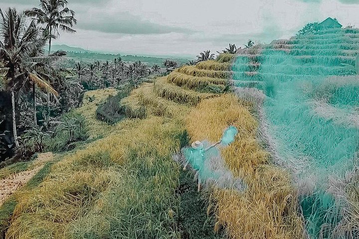 Bali Most Instagram Photos Spot Trip - Image 4