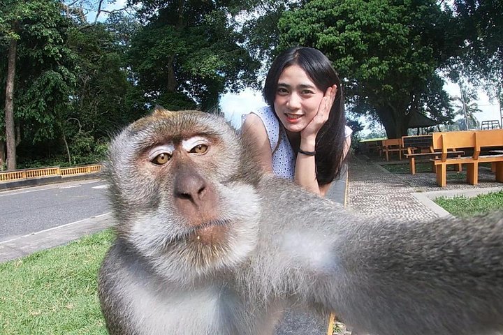 Bali Most Instagram Photos Spot Trip - Image 1
