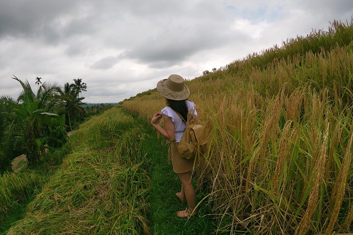 Bali Most Instagram Photos Spot Trip - Image 5