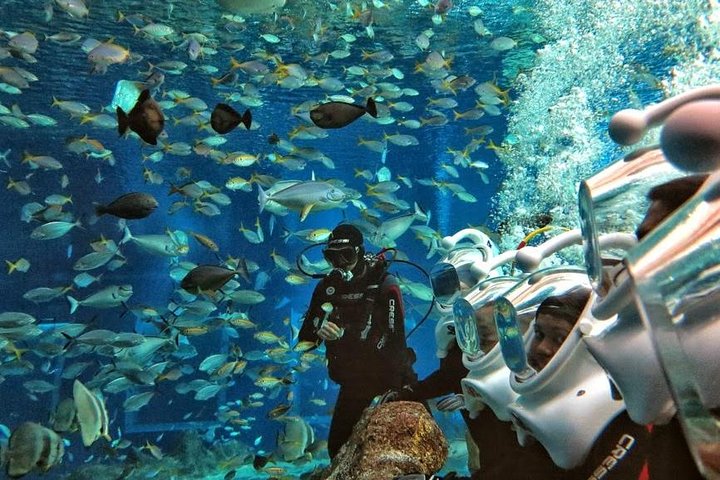 Bali Ocean Walker - Image 2