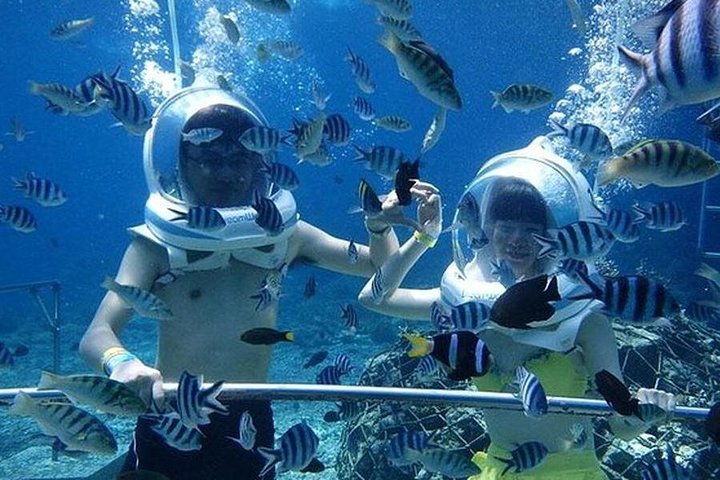 Bali Ocean Walker - Image 3