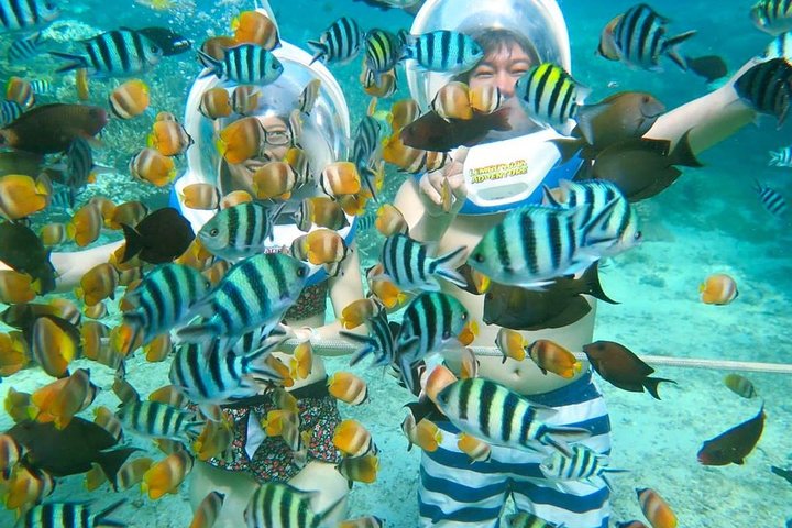 Bali Ocean Walker - Image 1