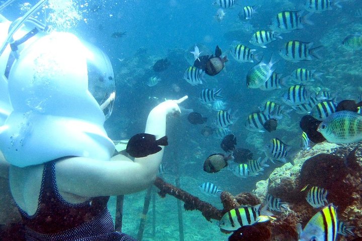 Bali Ocean Walker - Image 4