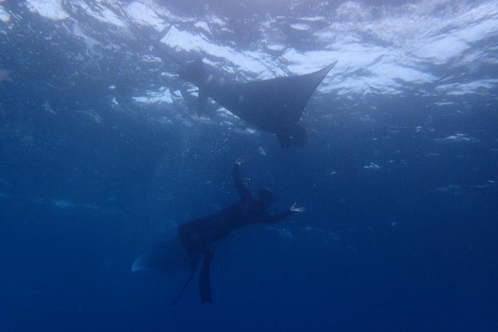 Bali Penida Snorkeling Experience with Manta Ray - Image 2