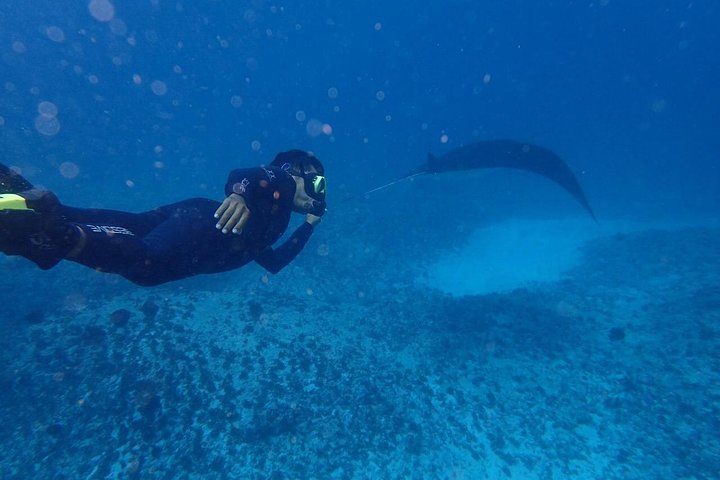 Bali Penida Snorkeling Experience with Manta Ray - Image 1